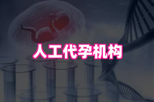 国际助孕网站 3