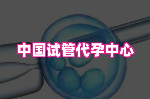国际助孕网站 4